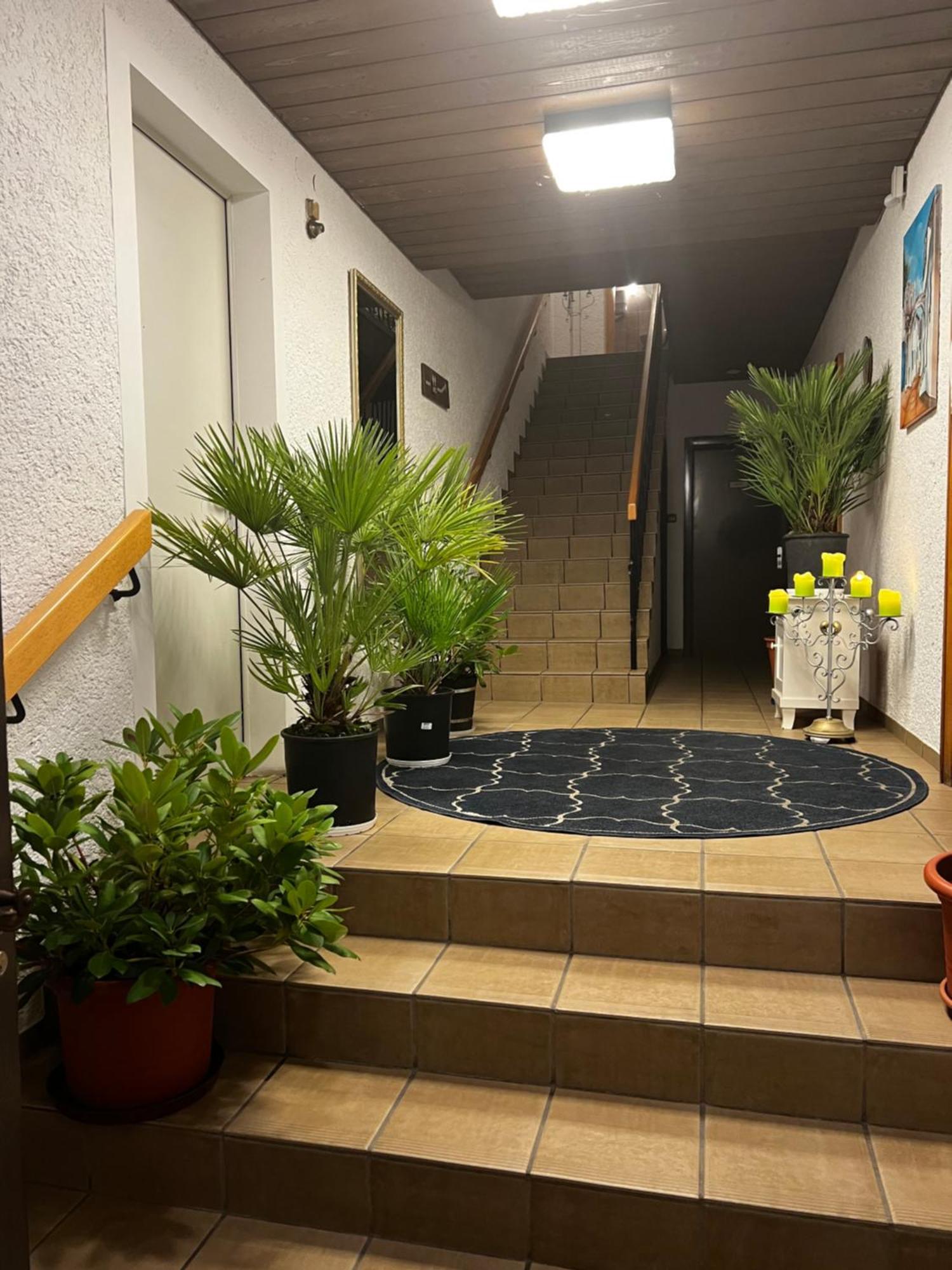 Gasthof Stern Asteri Frickenhausen  Esterno foto